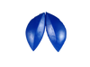 Prokinetics Arch Kit #2